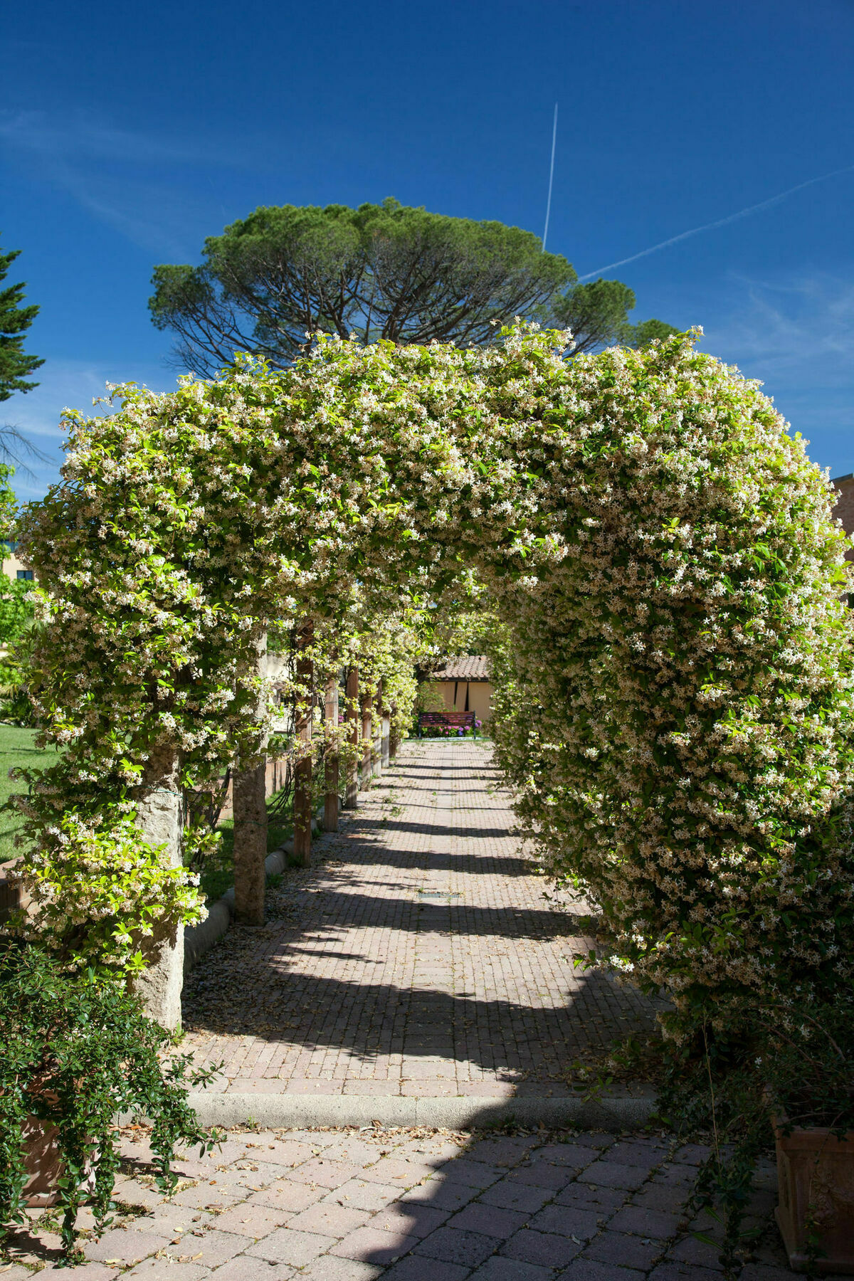 Villa Borri Casciana Terme Exterior foto